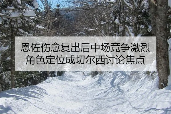 en-zuo-shang-yu-fu-chu-hou-zhong-chang-jing-zheng-ji-lie-jue-se-ding-wei-cheng-qie-er-xi-tao-lun-jiao-dian-2-228.jpg
